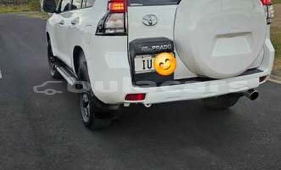 Buy Used Toyota Land Cruiser Other Car in Nadi in Western