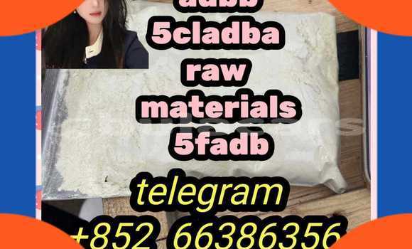 Medium with watermark 1