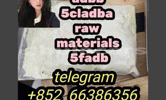 Medium with watermark 7