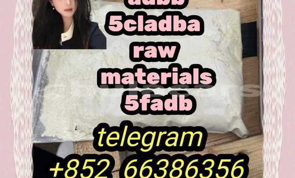 Medium with watermark 10