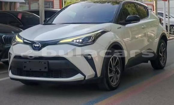 Buy Used Toyota C-HR White Car in Suva in Central
