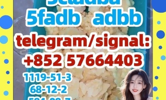 Medium with watermark 56