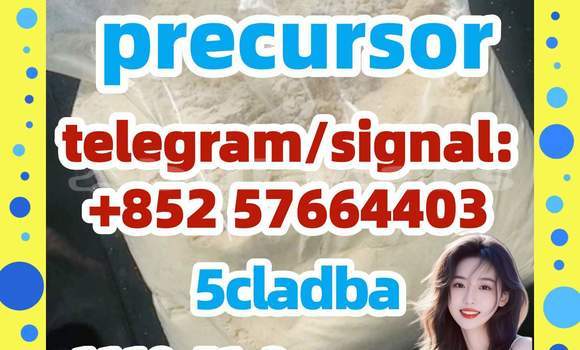 Medium with watermark 58