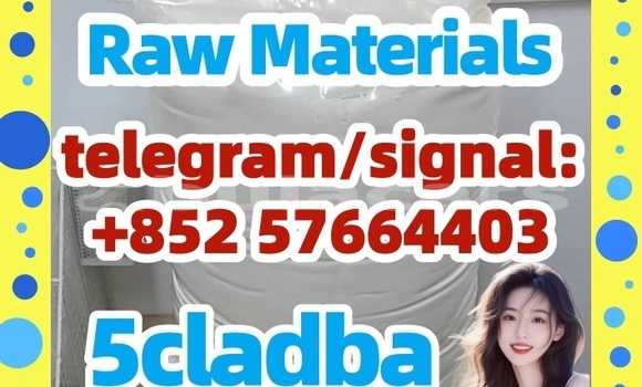 Medium with watermark 510