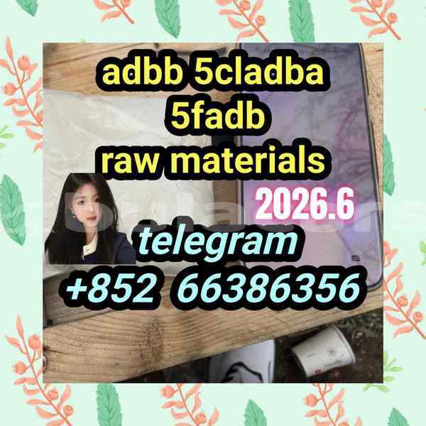 Big with watermark 7