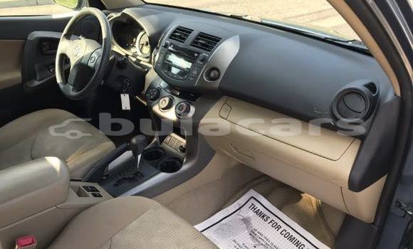Buy Used Toyota RAV4 Other Car in Suva in Central Buy Used Toyota RAV4 Other Car in Suva in Central