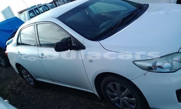 Acheter Occasion Voiture Toyota Corolla Blanc à Suva, Central Acheter Occasion Voiture Toyota Corolla Blanc à Suva, Central