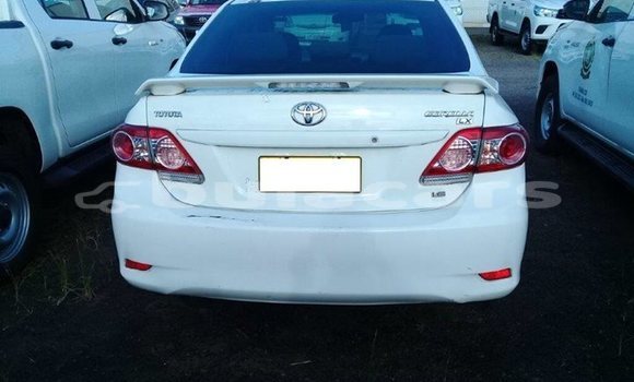 Acheter Occasion Voiture Toyota Corolla Blanc à Suva, Central Acheter Occasion Voiture Toyota Corolla Blanc à Suva, Central