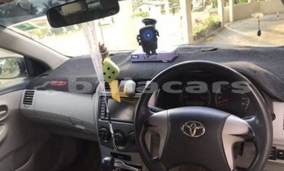 Acheter Occasion Voiture Toyota Axio Gris à Suva, Central Acheter Occasion Voiture Toyota Axio Gris à Suva, Central