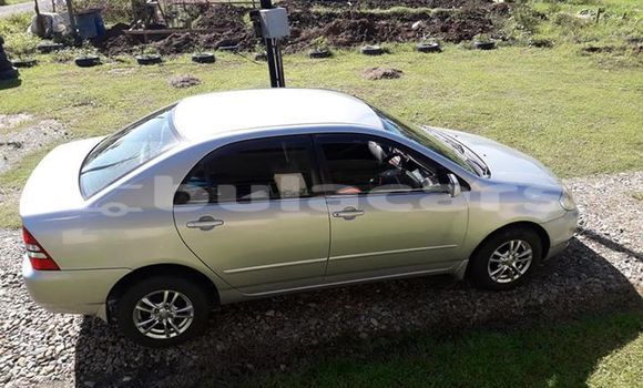 Acheter Occasion Voiture Toyota Corolla Gris à Navua, Central Acheter Occasion Voiture Toyota Corolla Gris à Navua, Central