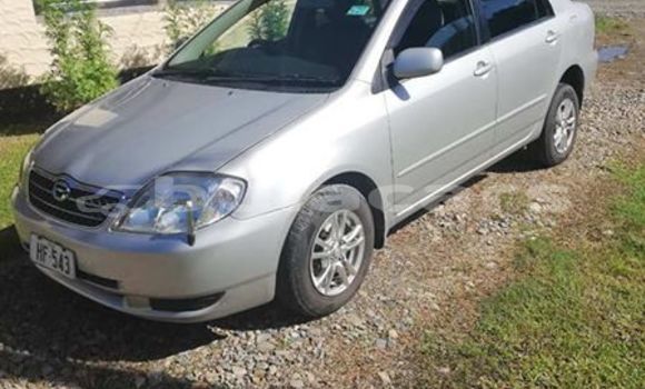 Acheter Occasion Voiture Toyota Corolla Gris à Navua, Central Acheter Occasion Voiture Toyota Corolla Gris à Navua, Central
