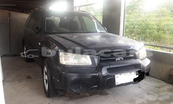 Buy Used Subaru Forester Black Car in Suva in Central Buy Used Subaru Forester Black Car in Suva in Central