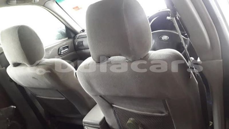 Big with watermark 52653764 647735102328896 3008230085216960512 n