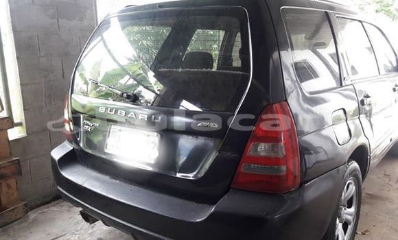 Buy Used Subaru Forester Black Car in Suva in Central Buy Used Subaru Forester Black Car in Suva in Central