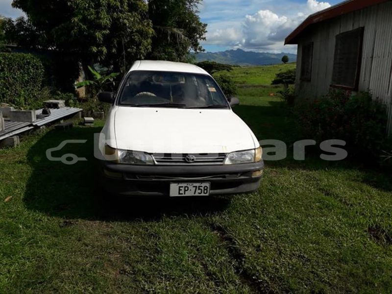 Big with watermark 52905288 1206920826150243 393015822848622592 n