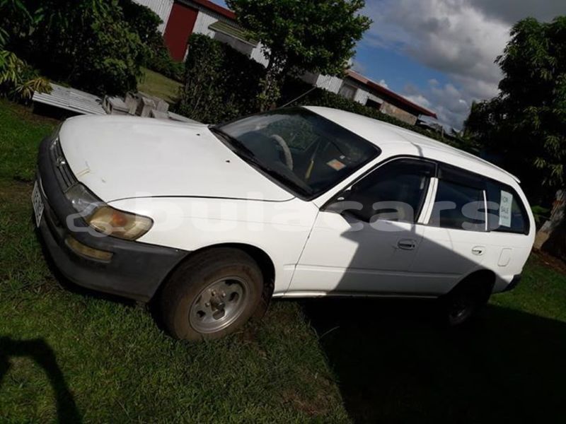 Big with watermark 52109878 1206920809483578 3043472666997555200 n