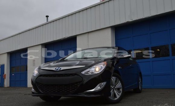 Buy Used Hyundai Sonata Other Car in Ba in Western