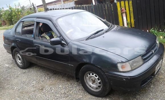 Acheter Occasion Voiture Toyota Tercel Autre à Suva, Central Acheter Occasion Voiture Toyota Tercel Autre à Suva, Central