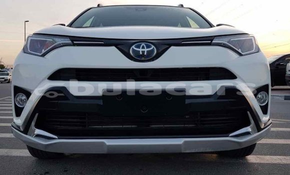 Buy Import Toyota RAV4 White Car in Import - Dubai in Central Buy Import Toyota RAV4 White Car in Import - Dubai in Central