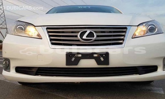 Buy Import Lexus 350 White Car in Import - Dubai in Central Buy Import Lexus 350 White Car in Import - Dubai in Central