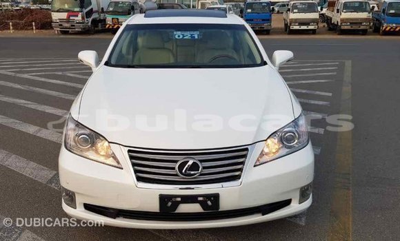 Buy Import Lexus 350 White Car in Import - Dubai in Central Buy Import Lexus 350 White Car in Import - Dubai in Central