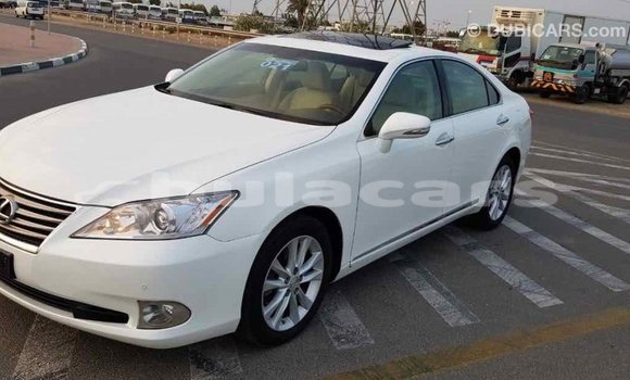 Buy Import Lexus 350 White Car in Import - Dubai in Central Buy Import Lexus 350 White Car in Import - Dubai in Central