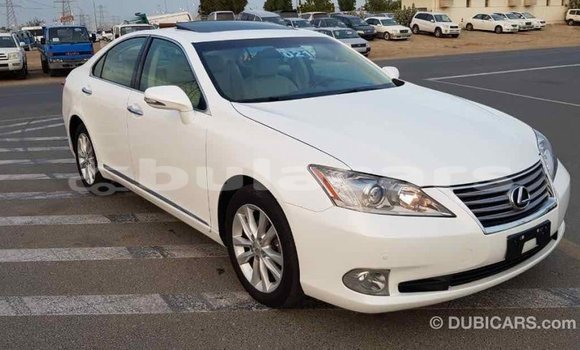 Buy Import Lexus 350 White Car in Import - Dubai in Central Buy Import Lexus 350 White Car in Import - Dubai in Central