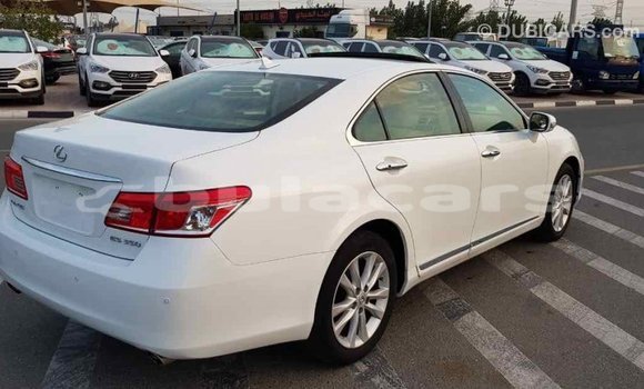 Buy Import Lexus 350 White Car in Import - Dubai in Central Buy Import Lexus 350 White Car in Import - Dubai in Central