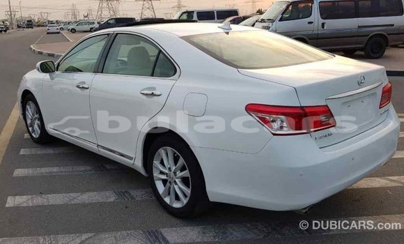 Buy Import Lexus 350 White Car in Import - Dubai in Central Buy Import Lexus 350 White Car in Import - Dubai in Central