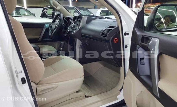 Buy Import Toyota Prado White Car in Import - Dubai in Central Buy Import Toyota Prado White Car in Import - Dubai in Central