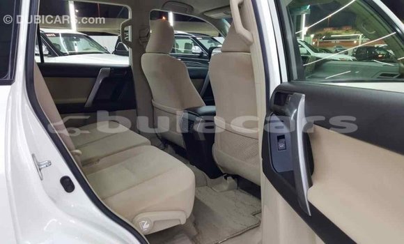 Buy Import Toyota Prado White Car in Import - Dubai in Central Buy Import Toyota Prado White Car in Import - Dubai in Central