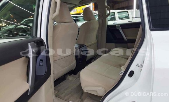 Buy Import Toyota Prado White Car in Import - Dubai in Central Buy Import Toyota Prado White Car in Import - Dubai in Central