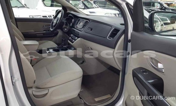 Buy Import Kia Carnival Grey Car in Import - Dubai in Central Buy Import Kia Carnival Grey Car in Import - Dubai in Central