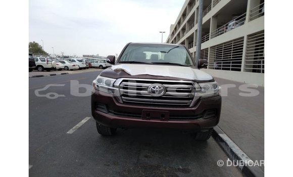 Buy Import Toyota Land Cruiser Brown Car in Import - Dubai in Central Buy Import Toyota Land Cruiser Brown Car in Import - Dubai in Central