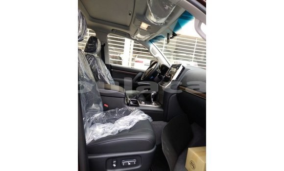 Buy Import Toyota Land Cruiser Brown Car in Import - Dubai in Central Buy Import Toyota Land Cruiser Brown Car in Import - Dubai in Central