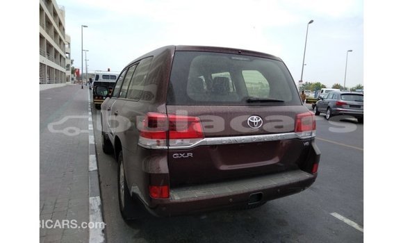 Buy Import Toyota Land Cruiser Brown Car in Import - Dubai in Central Buy Import Toyota Land Cruiser Brown Car in Import - Dubai in Central