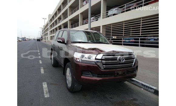 Buy Import Toyota Land Cruiser Brown Car in Import - Dubai in Central Buy Import Toyota Land Cruiser Brown Car in Import - Dubai in Central