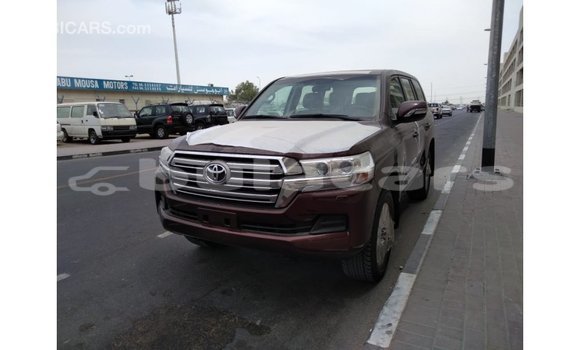 Buy Import Toyota Land Cruiser Brown Car in Import - Dubai in Central Buy Import Toyota Land Cruiser Brown Car in Import - Dubai in Central