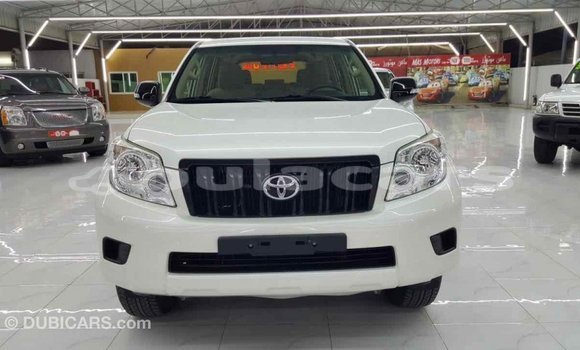 Buy Import Toyota Prado White Car in Import - Dubai in Central Buy Import Toyota Prado White Car in Import - Dubai in Central