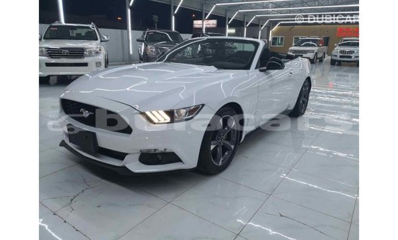 Buy Import Ford Mustang White Car in Import - Dubai in Central Buy Import Ford Mustang White Car in Import - Dubai in Central