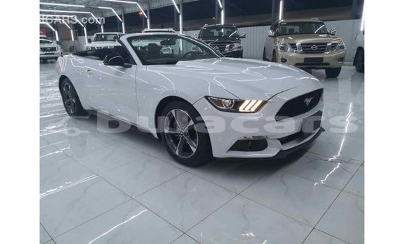 Buy Import Ford Mustang White Car in Import - Dubai in Central Buy Import Ford Mustang White Car in Import - Dubai in Central