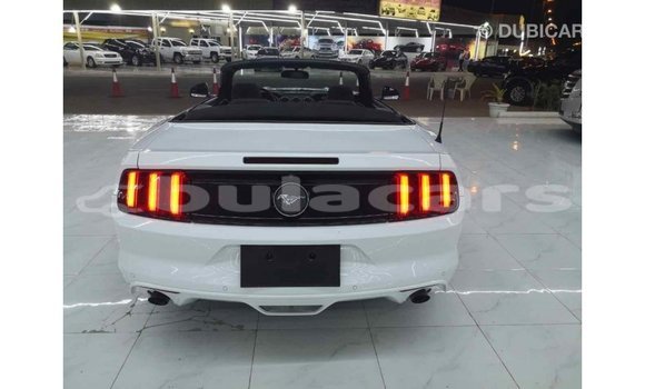 Buy Import Ford Mustang White Car in Import - Dubai in Central Buy Import Ford Mustang White Car in Import - Dubai in Central