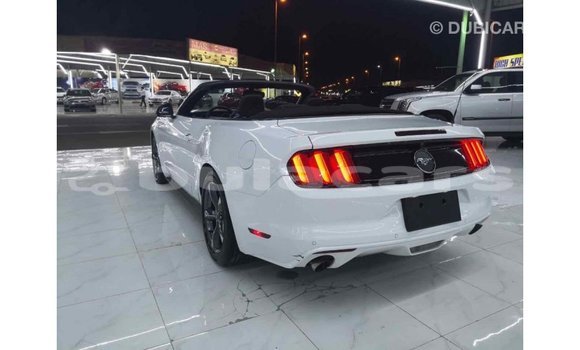 Buy Import Ford Mustang White Car in Import - Dubai in Central Buy Import Ford Mustang White Car in Import - Dubai in Central