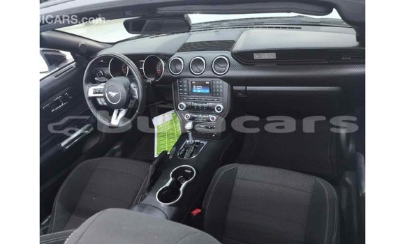 Buy Import Ford Mustang White Car in Import - Dubai in Central Buy Import Ford Mustang White Car in Import - Dubai in Central