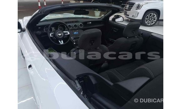 Buy Import Ford Mustang White Car in Import - Dubai in Central Buy Import Ford Mustang White Car in Import - Dubai in Central