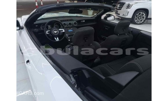 Buy Import Ford Mustang White Car in Import - Dubai in Central Buy Import Ford Mustang White Car in Import - Dubai in Central