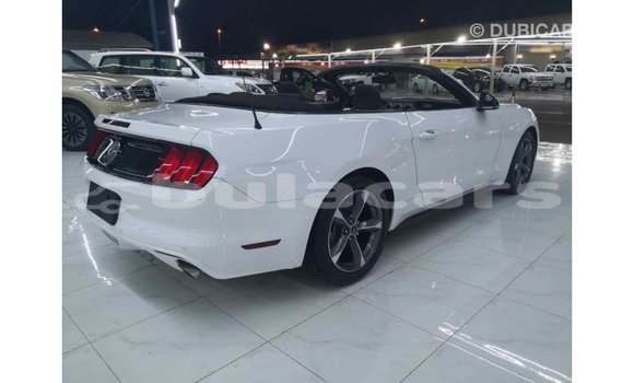 Buy Import Ford Mustang White Car in Import - Dubai in Central Buy Import Ford Mustang White Car in Import - Dubai in Central