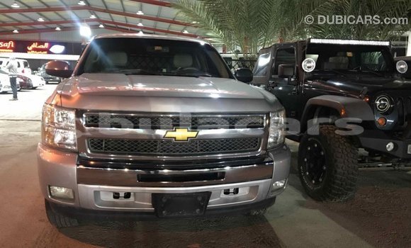 Acheter Import Voiture Chevrolet Silverado Gris à Import - Dubai, Central Acheter Import Voiture Chevrolet Silverado Gris à Import - Dubai, Central