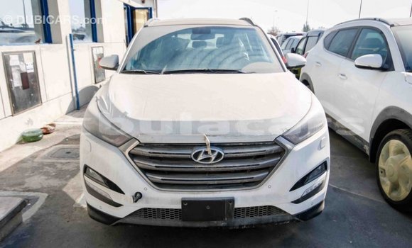 Buy Import Hyundai Tucson White Car in Import - Dubai in Central Buy Import Hyundai Tucson White Car in Import - Dubai in Central