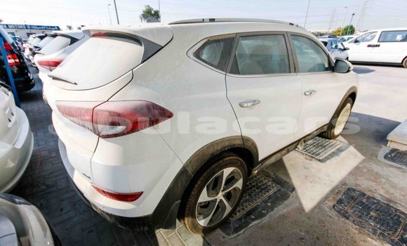 Buy Import Hyundai Tucson White Car in Import - Dubai in Central Buy Import Hyundai Tucson White Car in Import - Dubai in Central